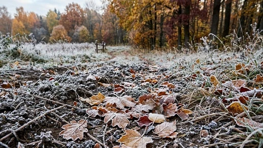 До -3°C: ближайшей ночью в Оренбуржье ожидаются заморозки