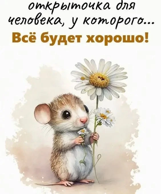 🌺ОТКРЫТКИ И ПОЗДРАВЛЕНИЯ 🌺
