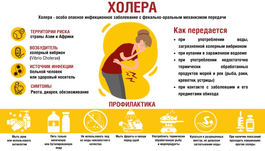 На территории Российской Федерации эпидемиологическая ситуация по холере характеризуетс...