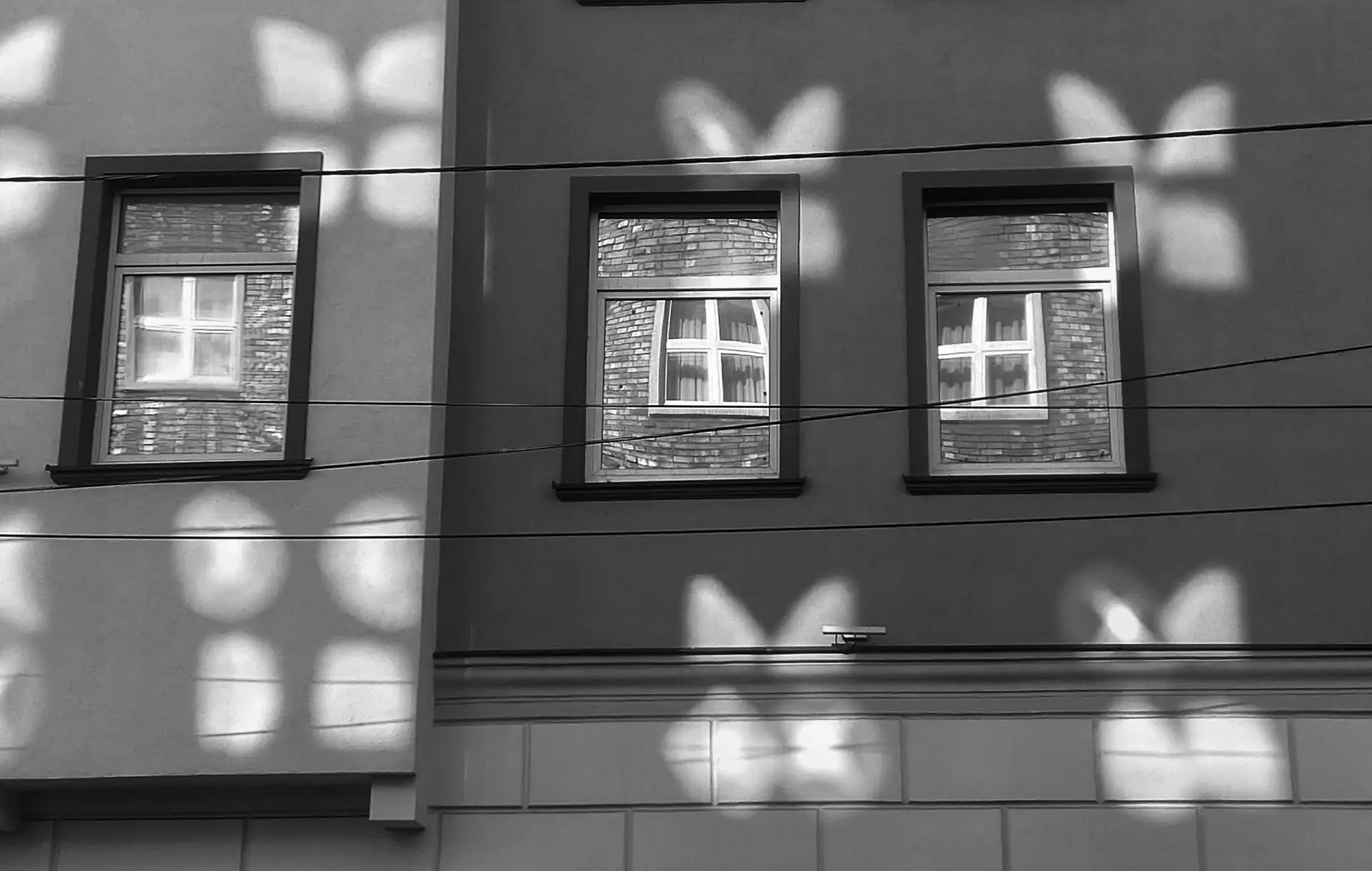 🪟 В Областном Доме народного творчества открылась выставка фотографов клубного формиро...