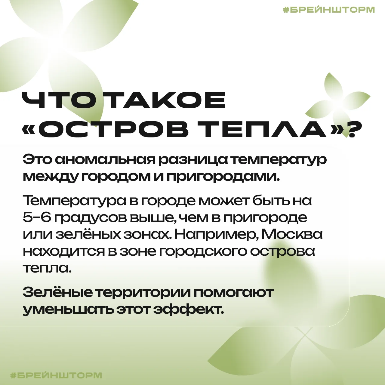 Зелёный кампус как природная экосистема, охлаждающая город