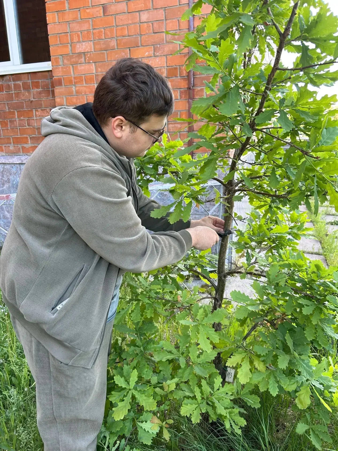 🌲 Дендрарий БрГУ как научная лаборатория под открытым небом

Каждый год на территории Братского гос