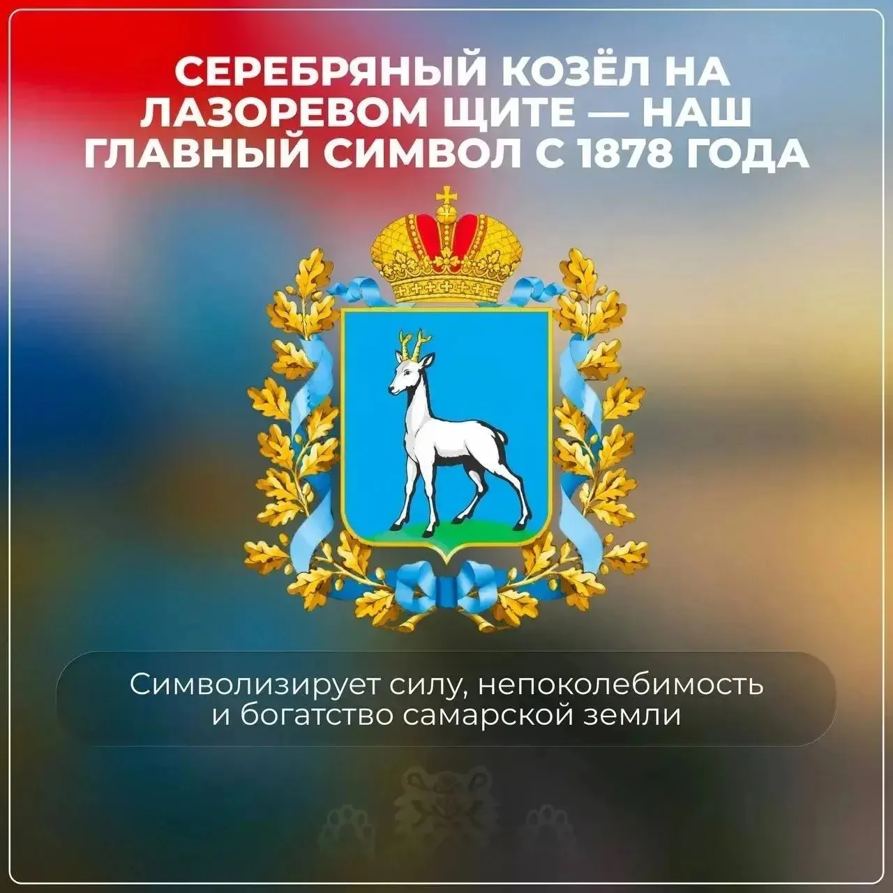 Сегодня, 17 июля, мы отмечаем праздник, посвящённый гербу, флагу и гимну нашей области. Эта дата выб