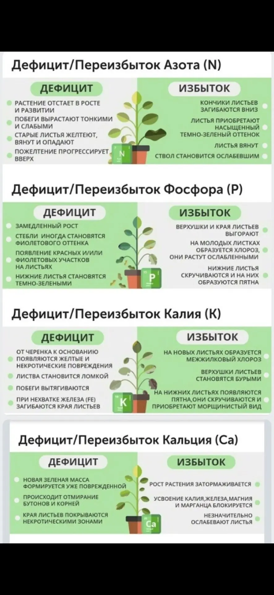 Домашний ботаник🪴