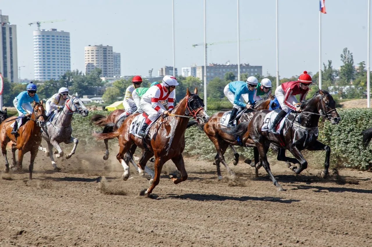 🐴 Скачки вернулись на Ростовский ипподром