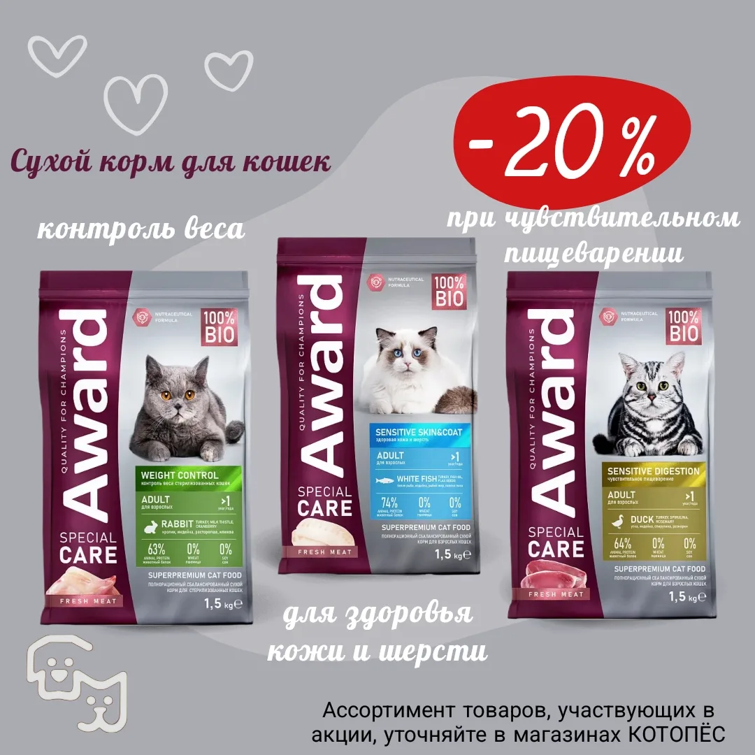 📢Акция❗️
Award сухой функциональный корм для кошек со скидкой -20%🔥

В акции участвует выделенный 