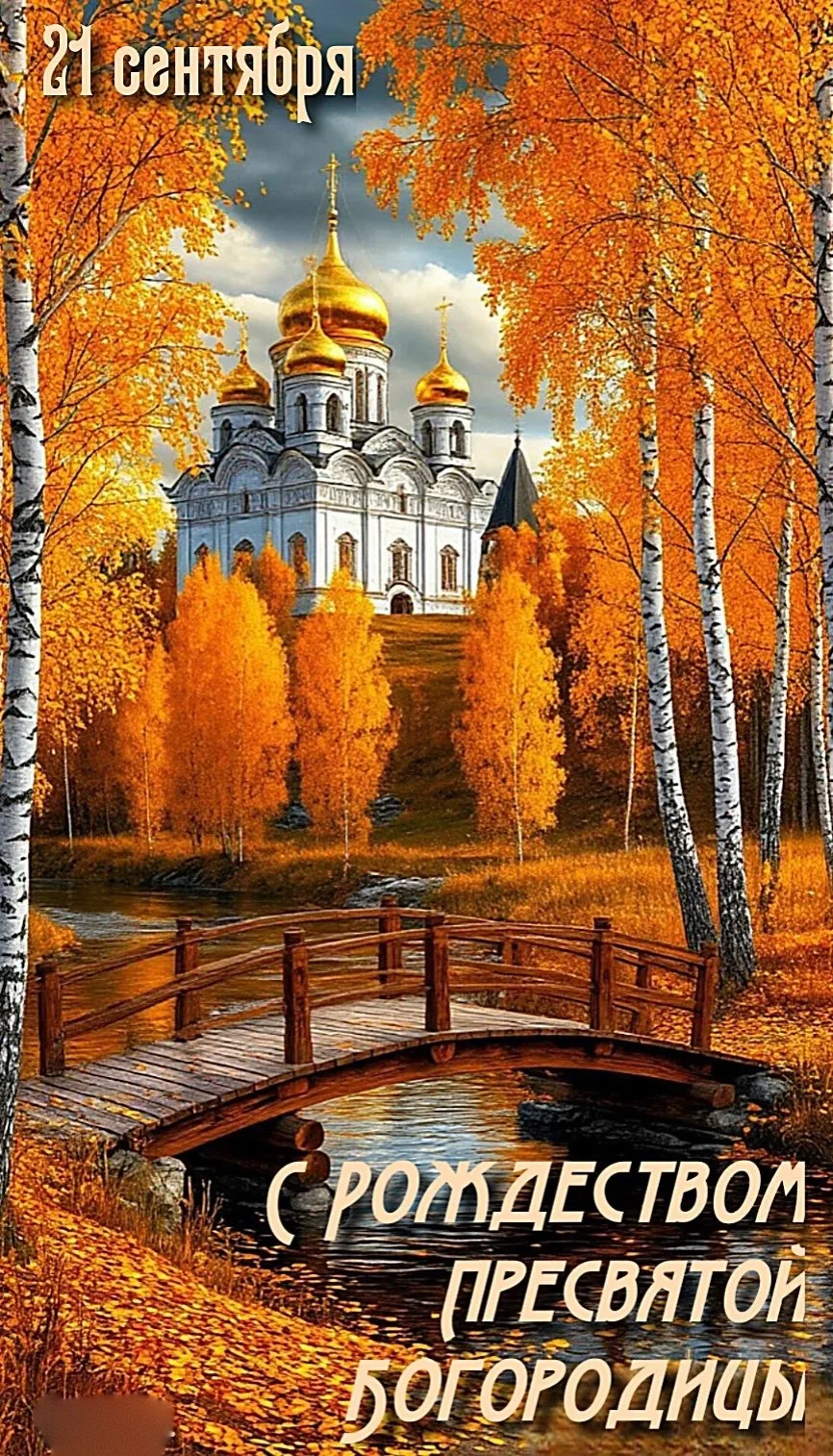 🎁Поздравления и открытки