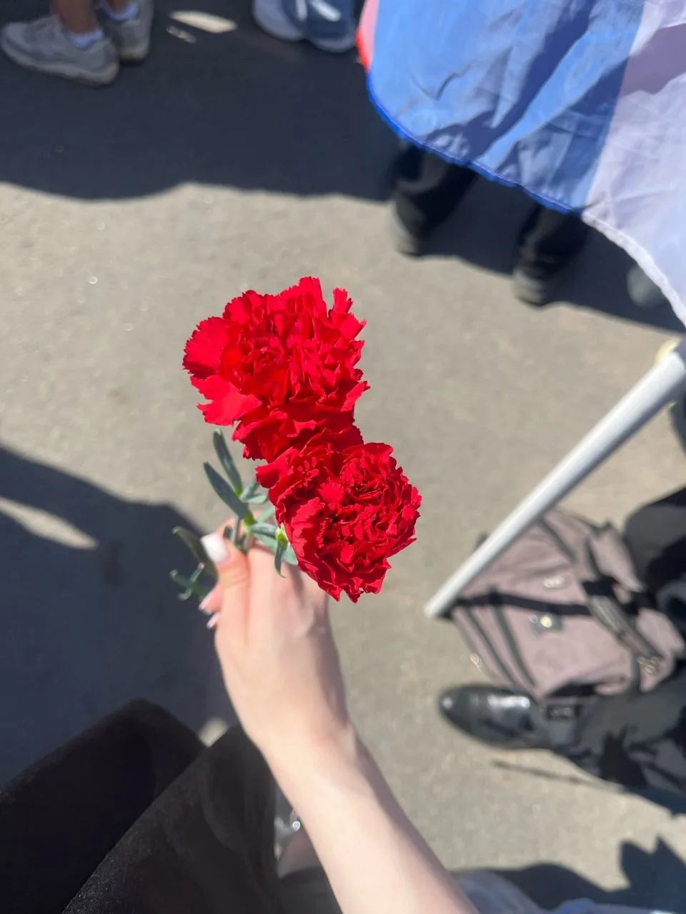 🇷🇺 Одна Родина — одна семья: студенты — часть всероссийской памяти  19 мая 2026 года в Парке Победы 
