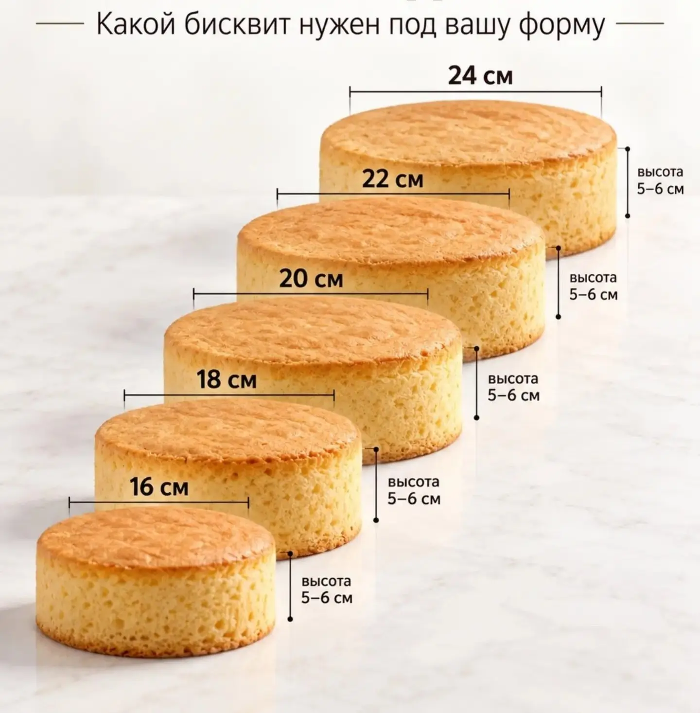 Высокий бисквит начинается с правильной формы и точных пропорций.