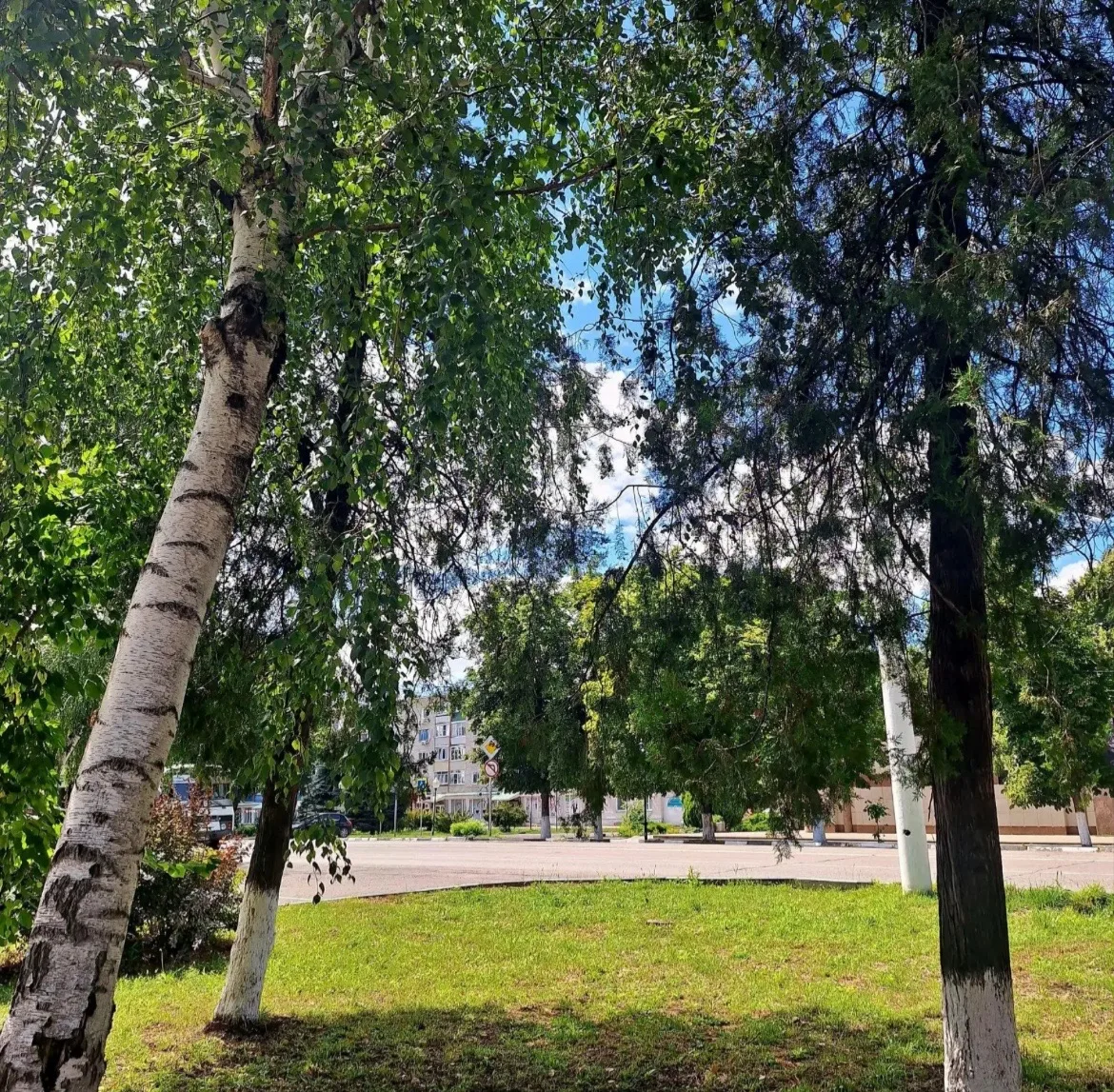 Доброе утро ☀️