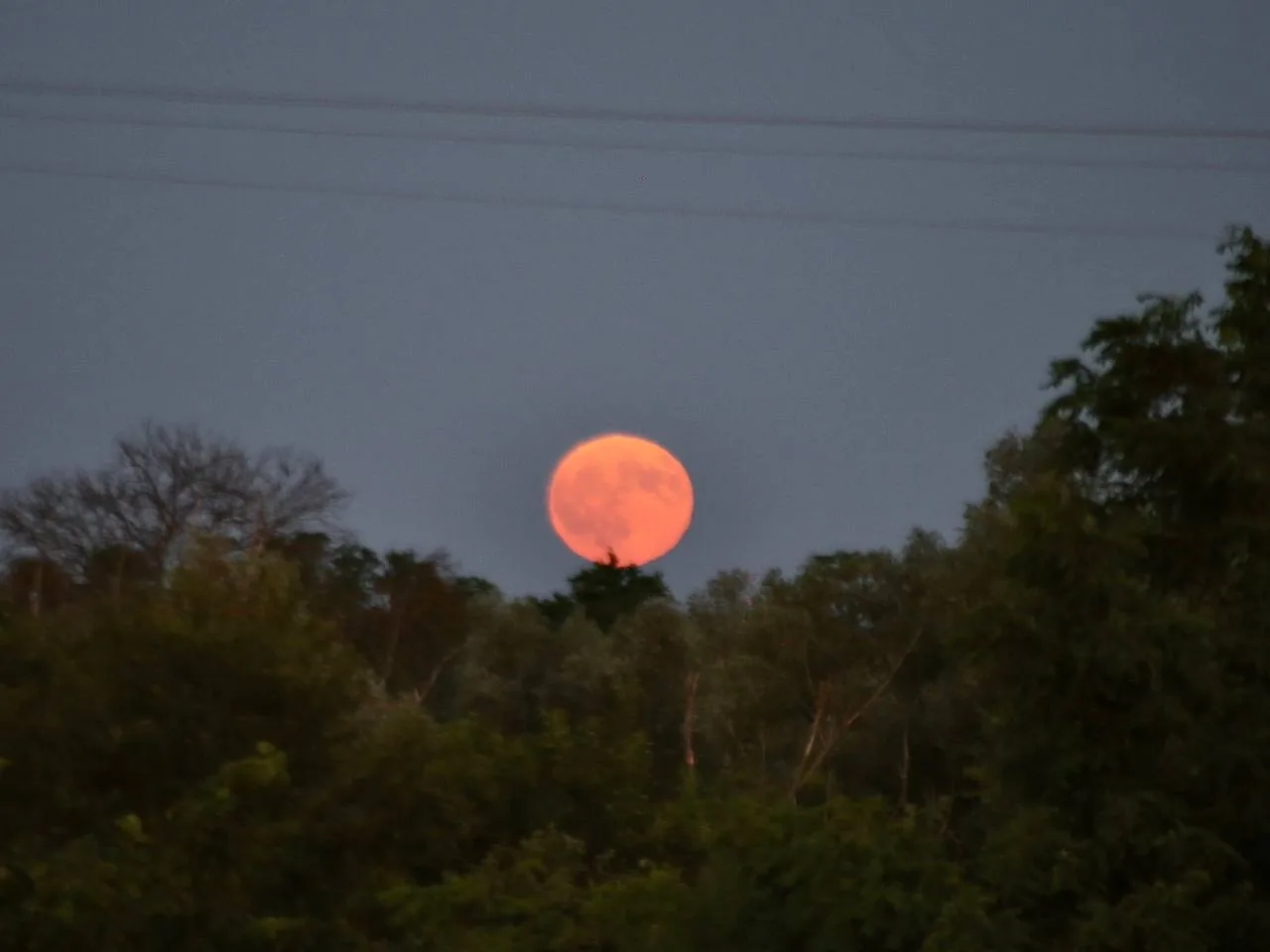 Полнолуние над кубанской балкой

Автор: Ksenia ⸆⸉

astrophotoboloto