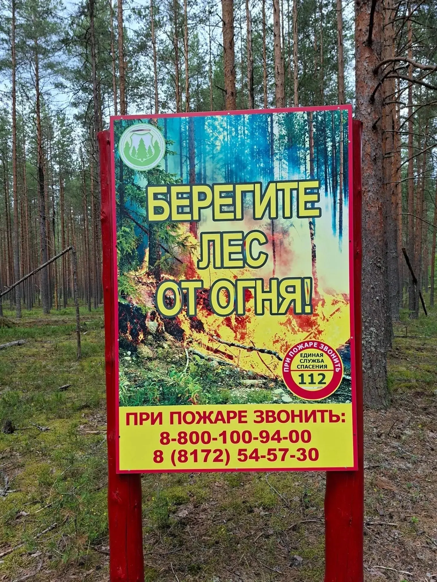 💎 Нацпроект