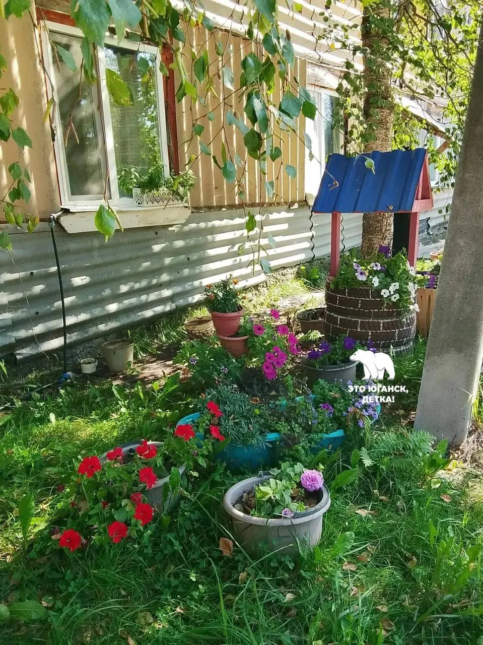 Нам пишут