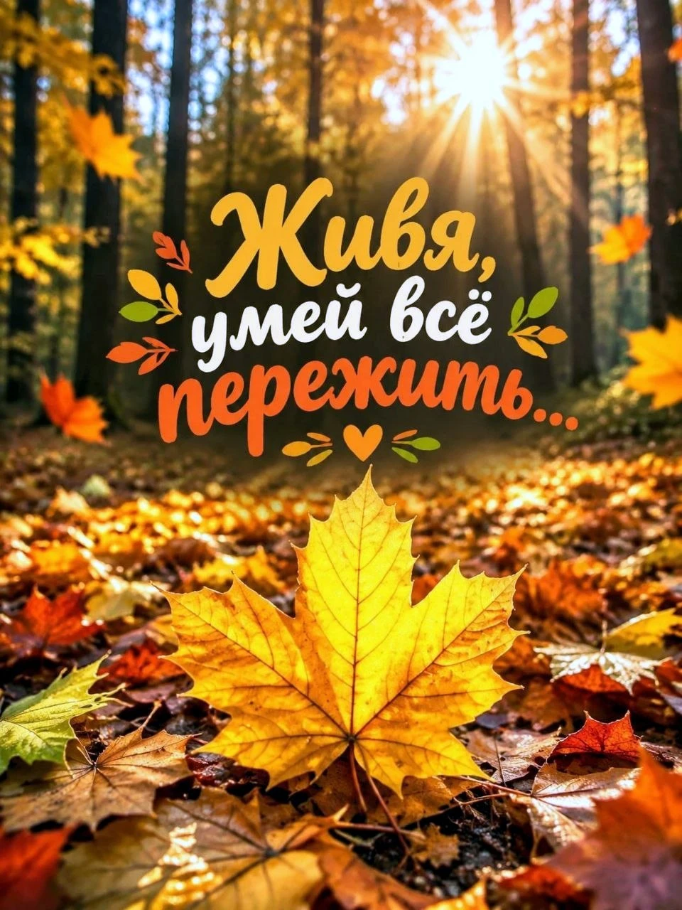 Милые открытки 😊 подписаться