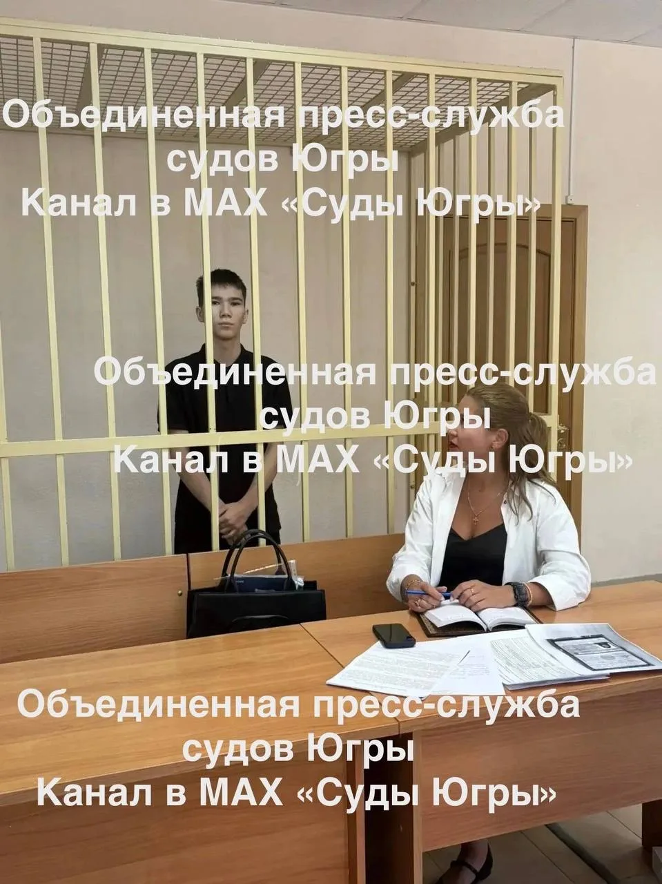Владелец лаунж-бара в Нижневартовске воровал рыбу в «Ленте» и незаконно продавал шампанское.

Предпр