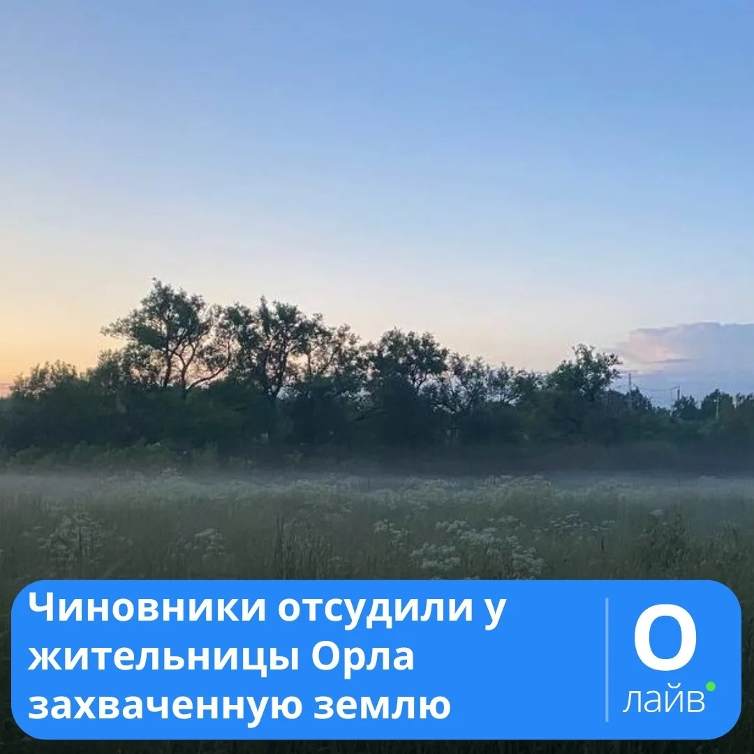 ❗Чиновники отсудили у жительницы Орла захваченную землю