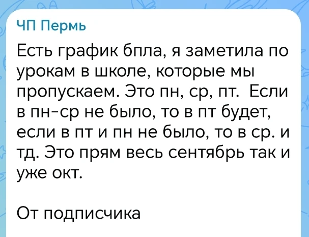 Растёт будущий разведчик и OSINT-аналитик 🧐.