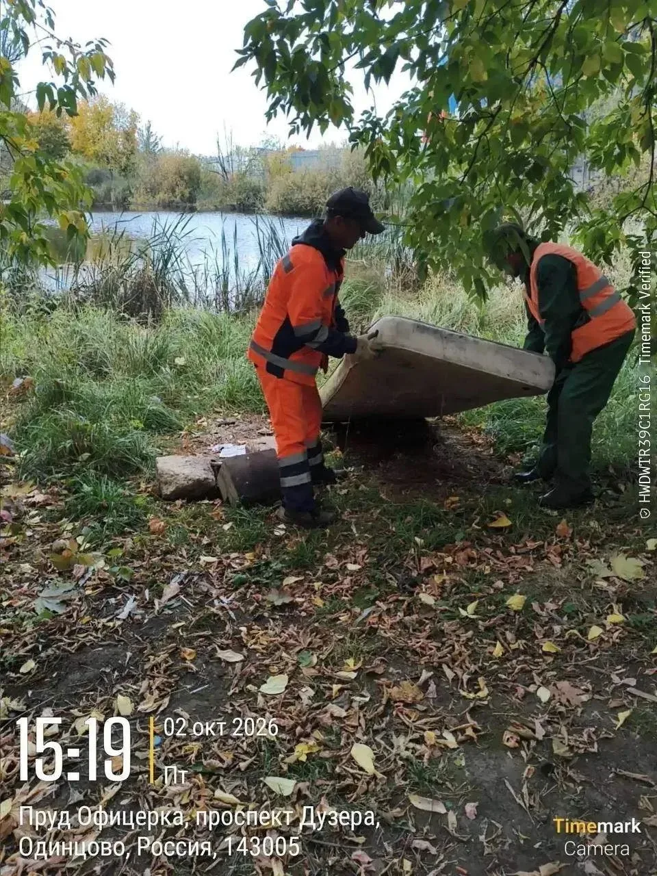 Офицерский пруд в ЖК «Одинцово-1» — единственный уголок природы в микрорайоне, где можн...