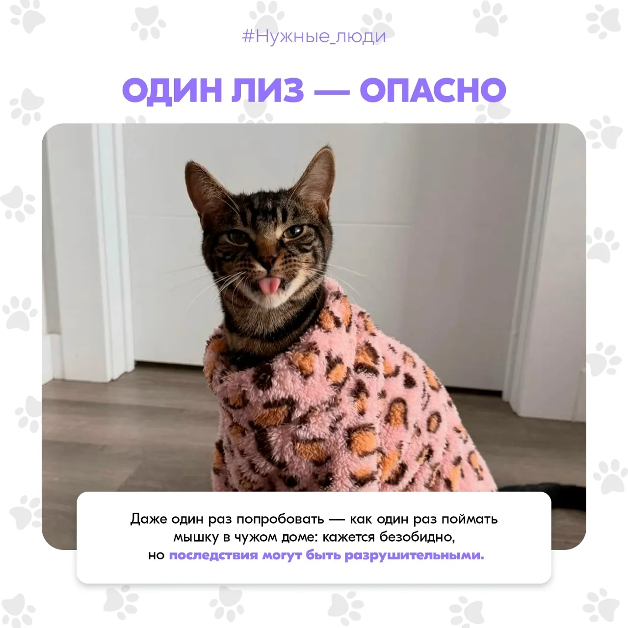 💔 Наркотики — не дорога к свободе, а ловушка для жизни.

Котики знают: счастье и свобода приходят ч