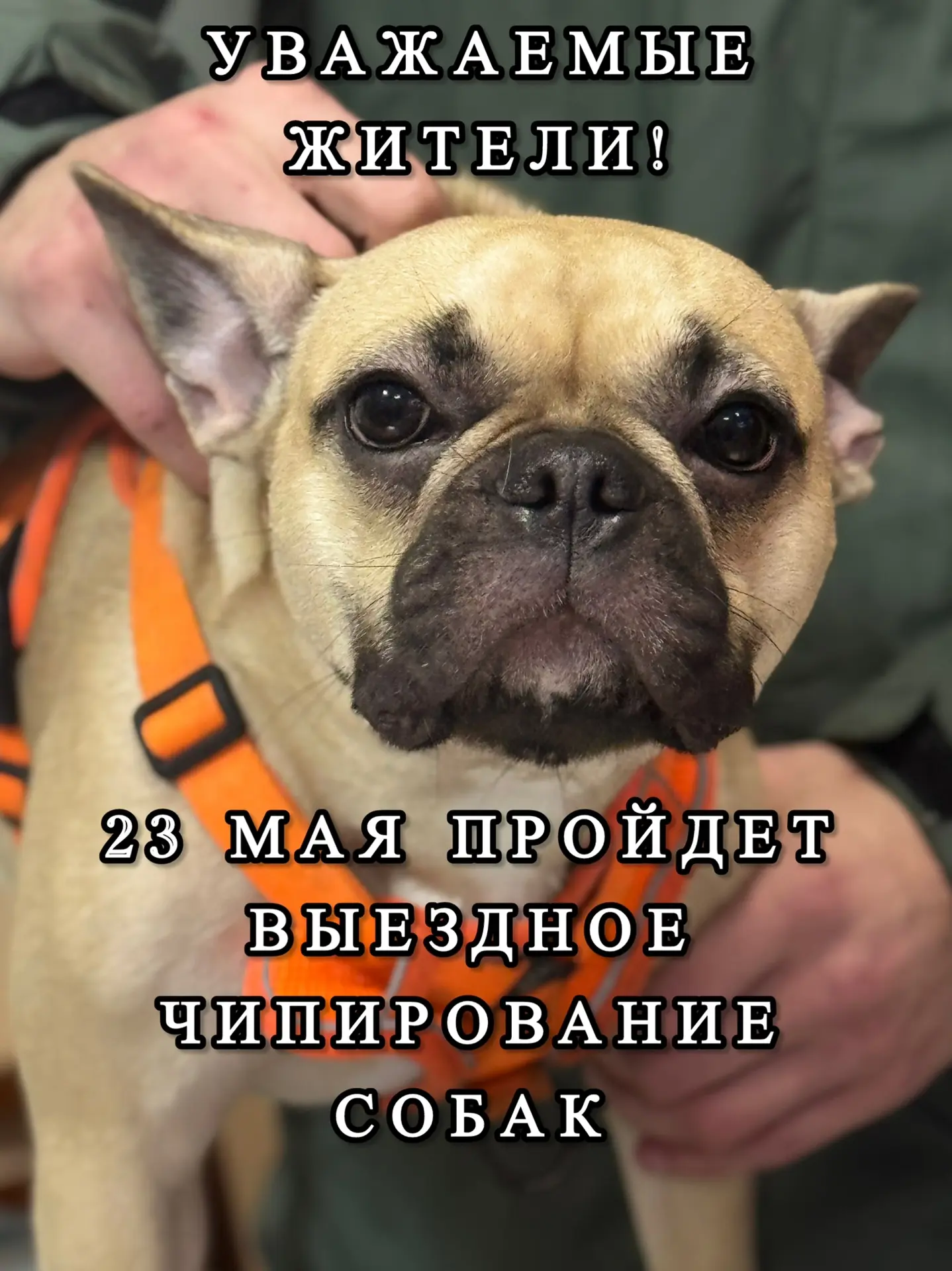 ☝️Уважаемые жители Бавлов!
