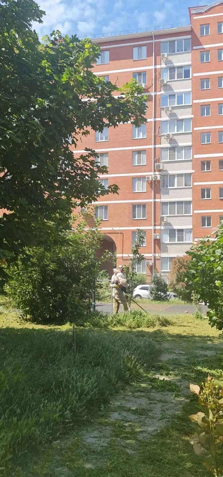 ✅ Закончен покос на Омелькова 21