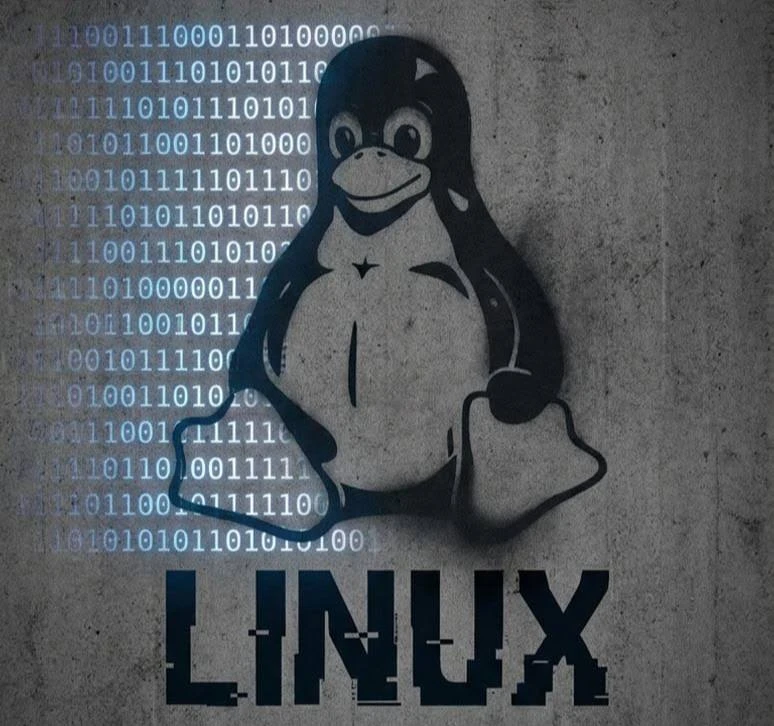 👩‍💻 Linux: Большой академический и практический каталог из 50 ключевых книг | Привет,...