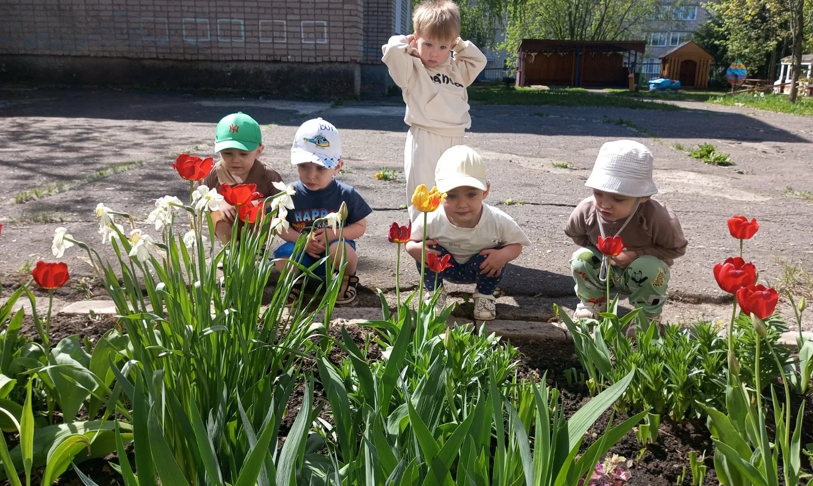 🌸🌼🌺 Эти удивительные цветы!