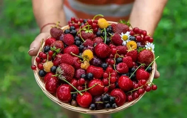 ☀️ Лето — витаминная пора! ☀️

🍓Лето радует нас изобилием фруктов и ягод — это не только вкусно, но