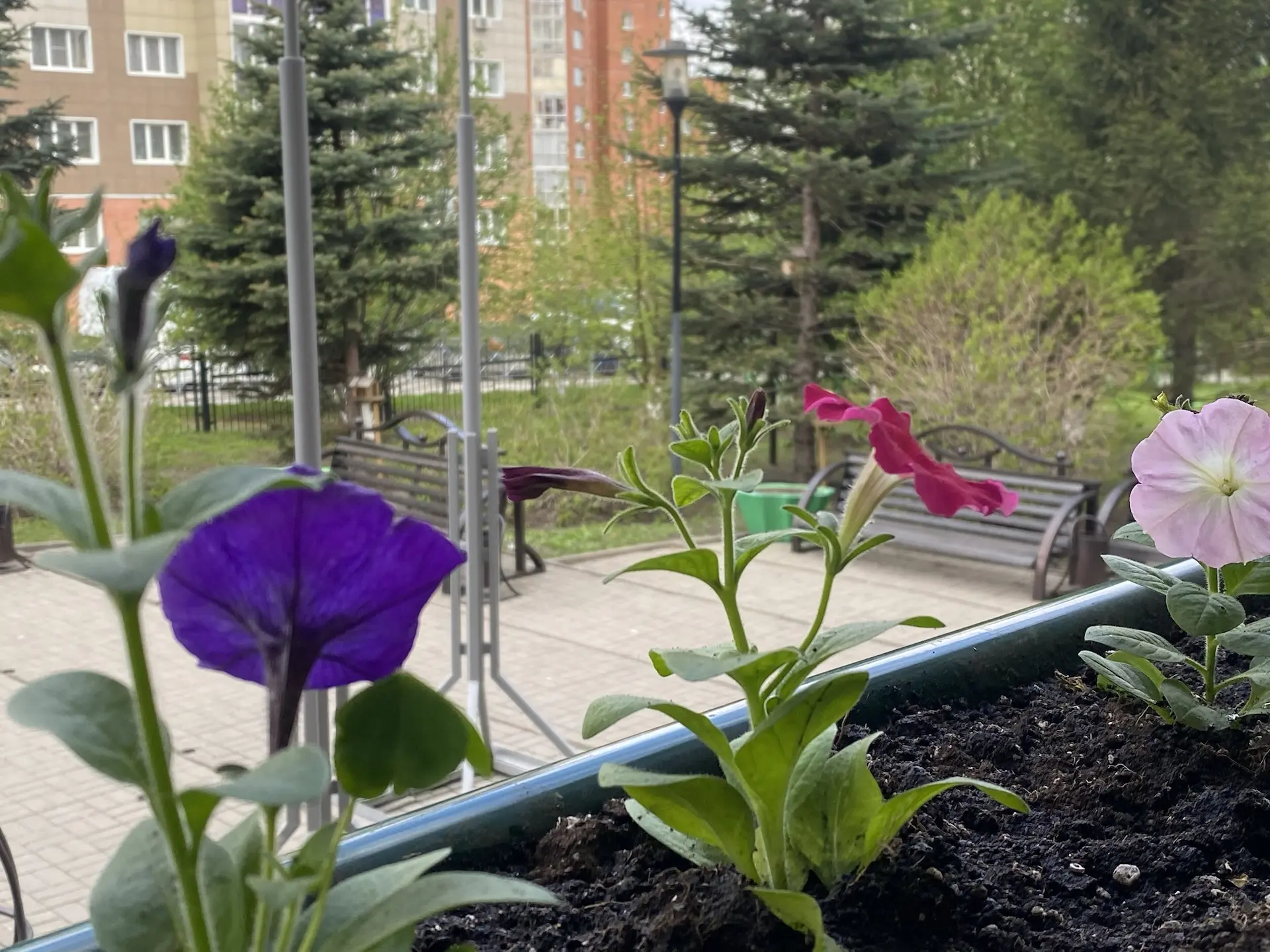 🌷🥀Старт проекта «Цвети, наш школьный двор». 🤝🔥Сегодня педагогический коллектив нашей школы принял ак