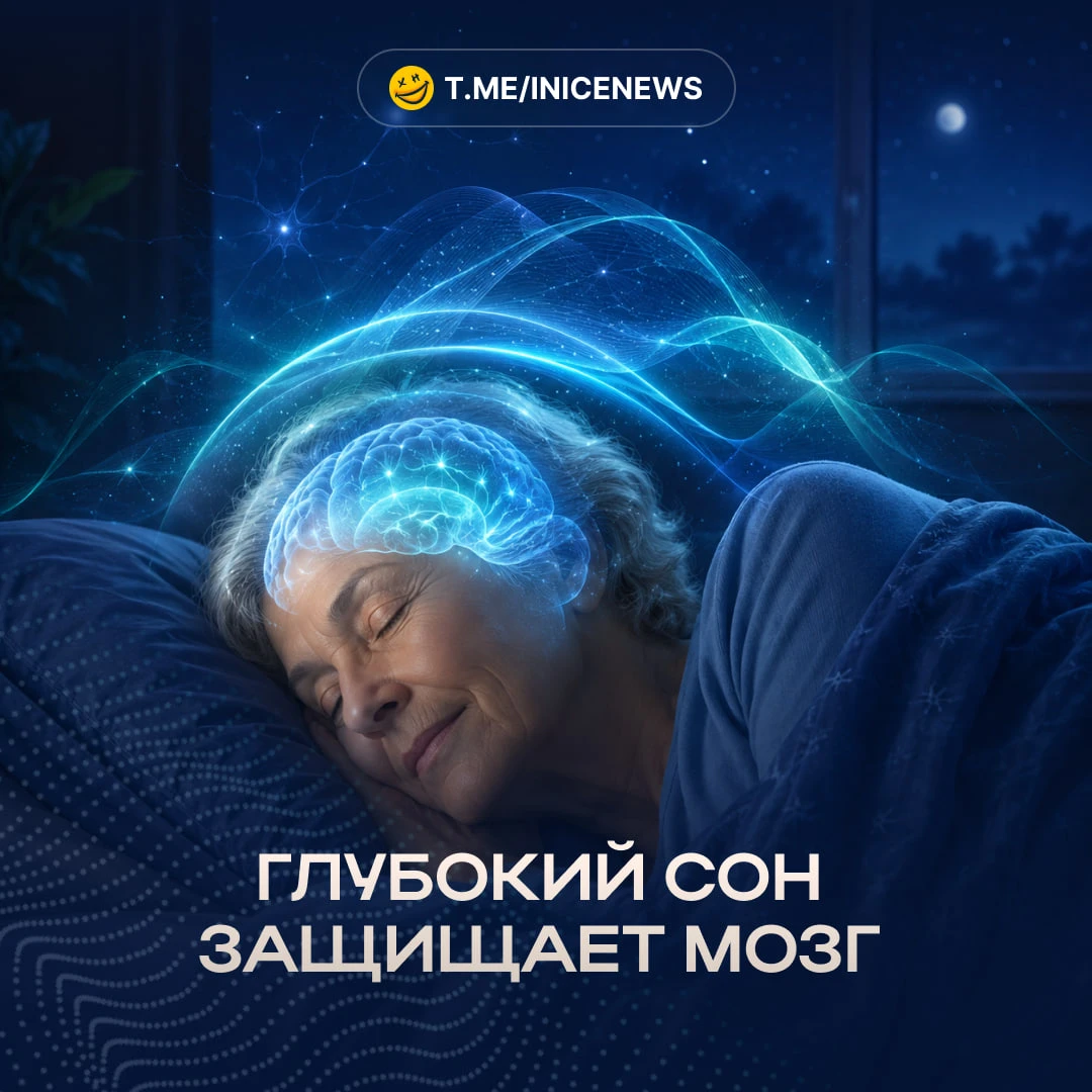 💤 Глубокий сон защищает мозг: учёные нашли «волны», которые снижают риск болезни Альцг...