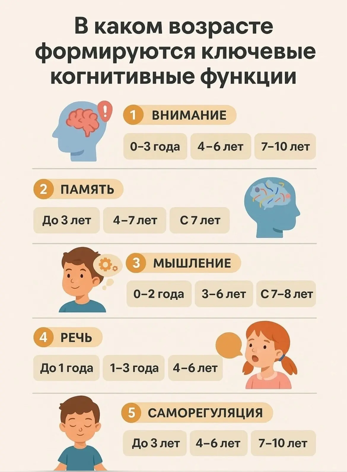 Когнитивные функции — это «рабочие инструменты» мозга. От их зрелости зависит, как ребё...