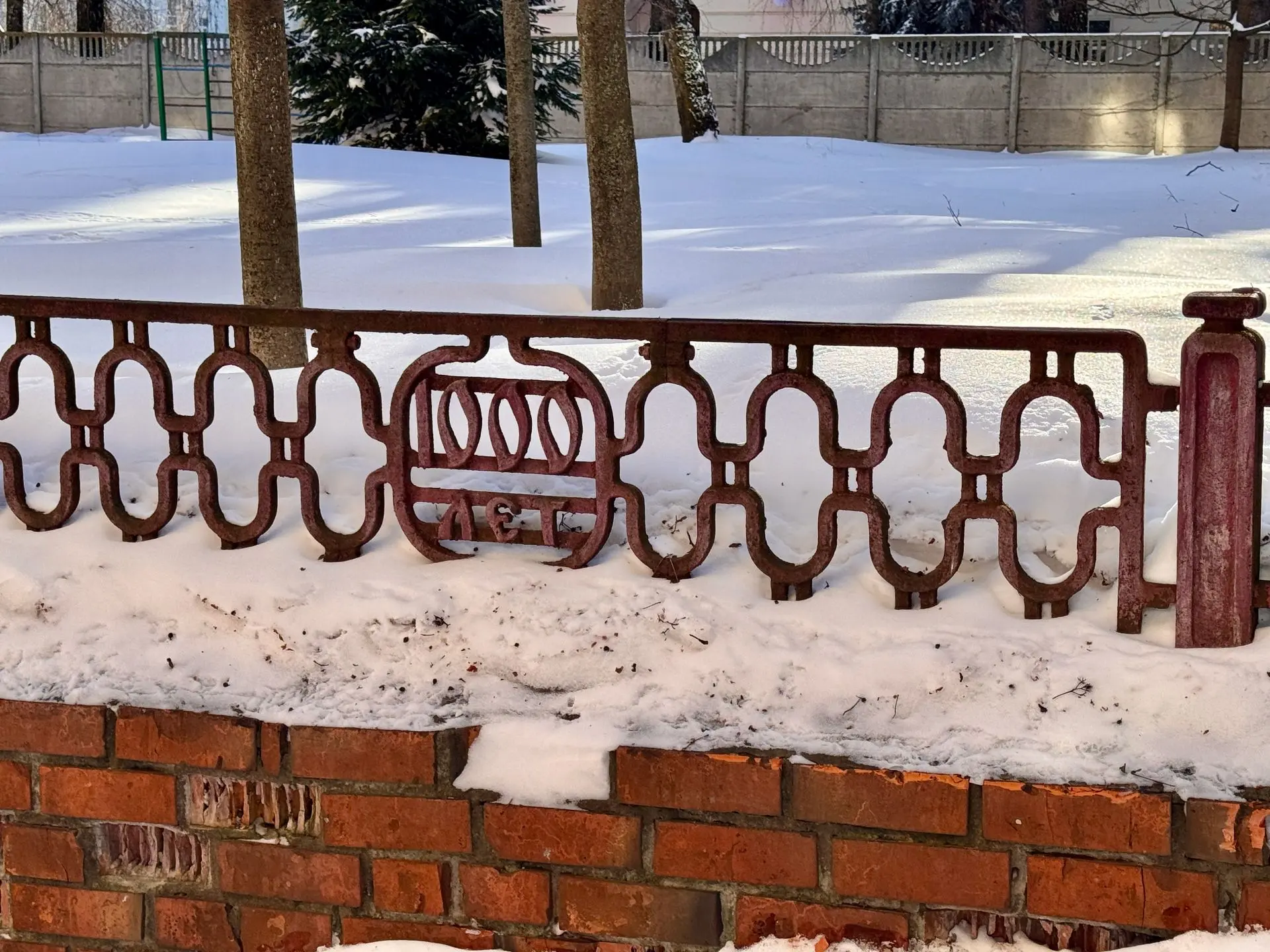 Брянск февральский.