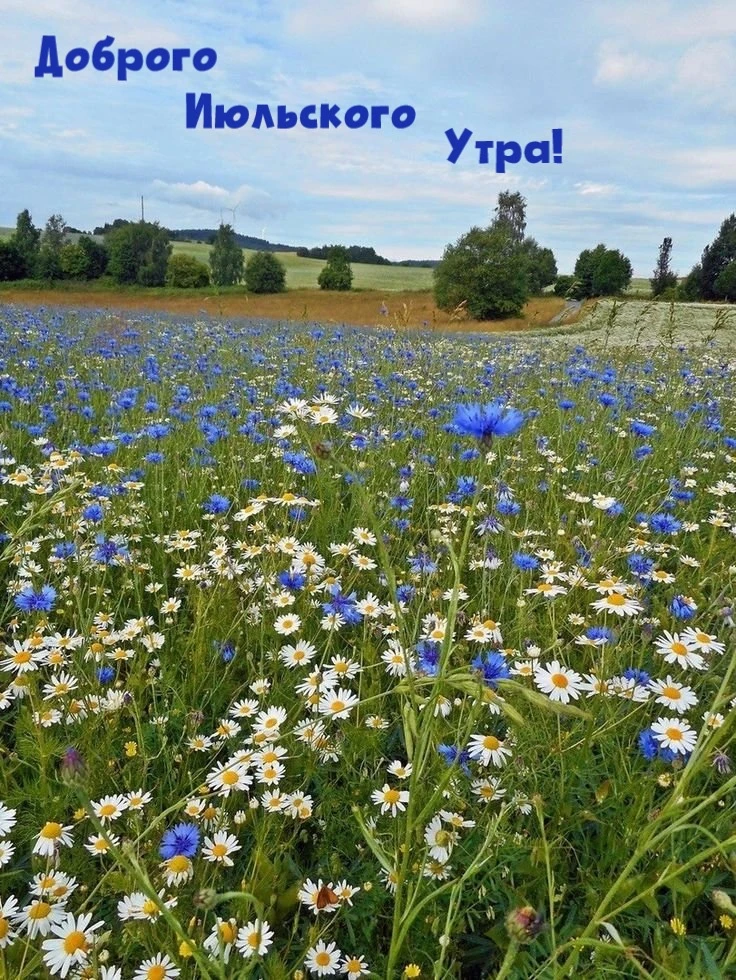 Доброе утро пусть подарит