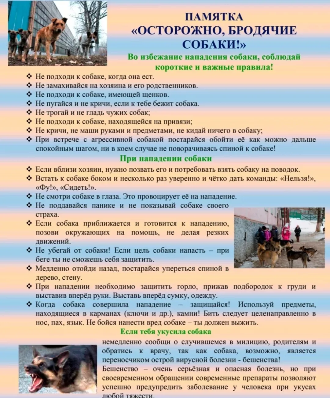 Сегодня, 10 июля 2026 года, в рамках Единого дня безопасности прошла тематическая беседа "Осторожно,