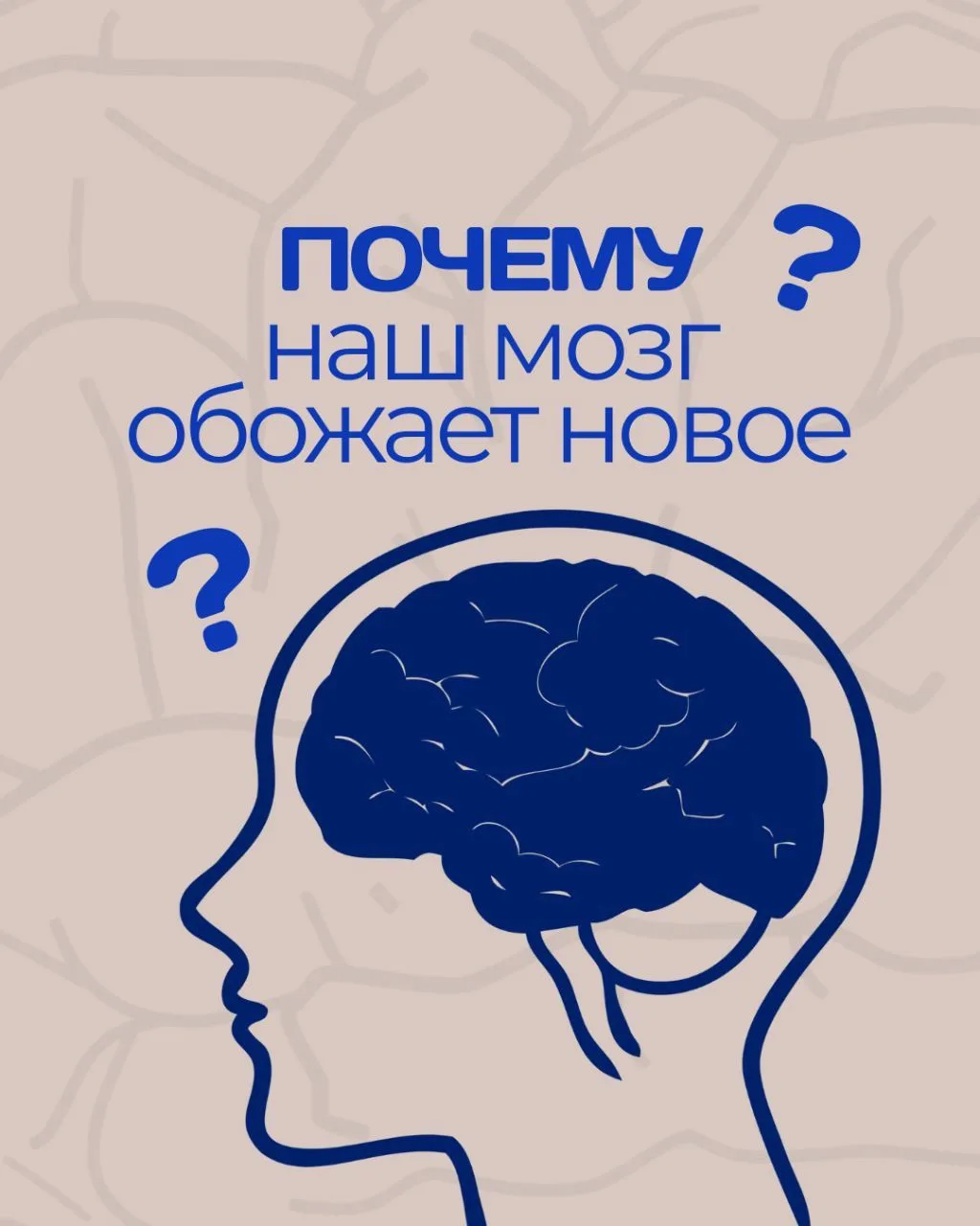 Почему мозг обожает всё новое (и как это использовать для учёбы)? 🧠

Мозг, как ребёнок. Он быстро у