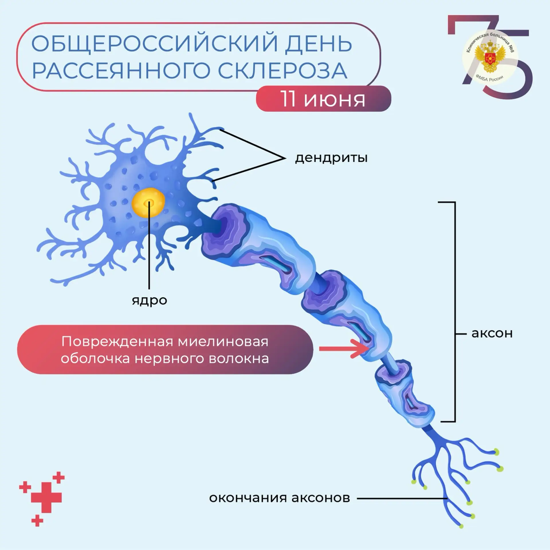 11 июня - Общероссийский день рассеянного склероза.
Почему мы говорим об этом заболевании? Чтобы нап