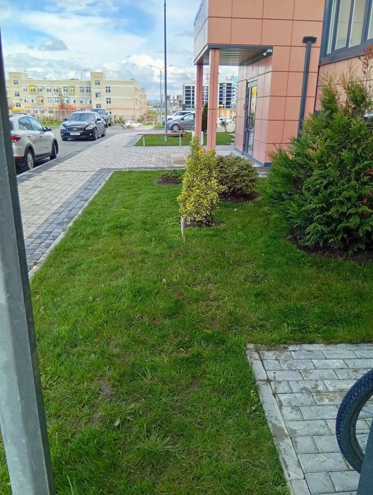 🌷 Уважаемые жители наших  домов по адресу : ул. Ленина,дом 243 и  б-р Босфорский 14 ✨  Напоминаем, ч