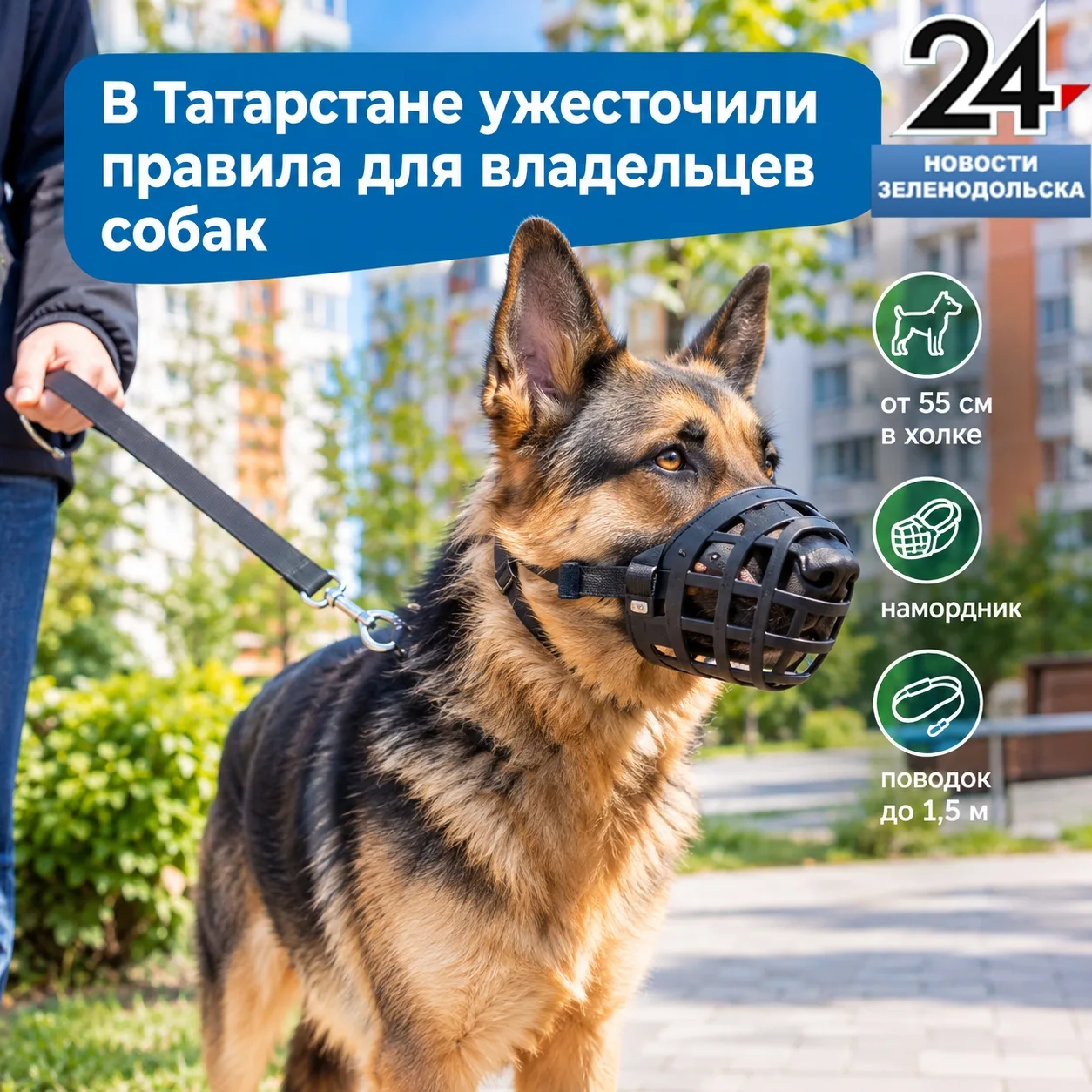 🐕 55 сантиметров — и без намордника уже нельзя