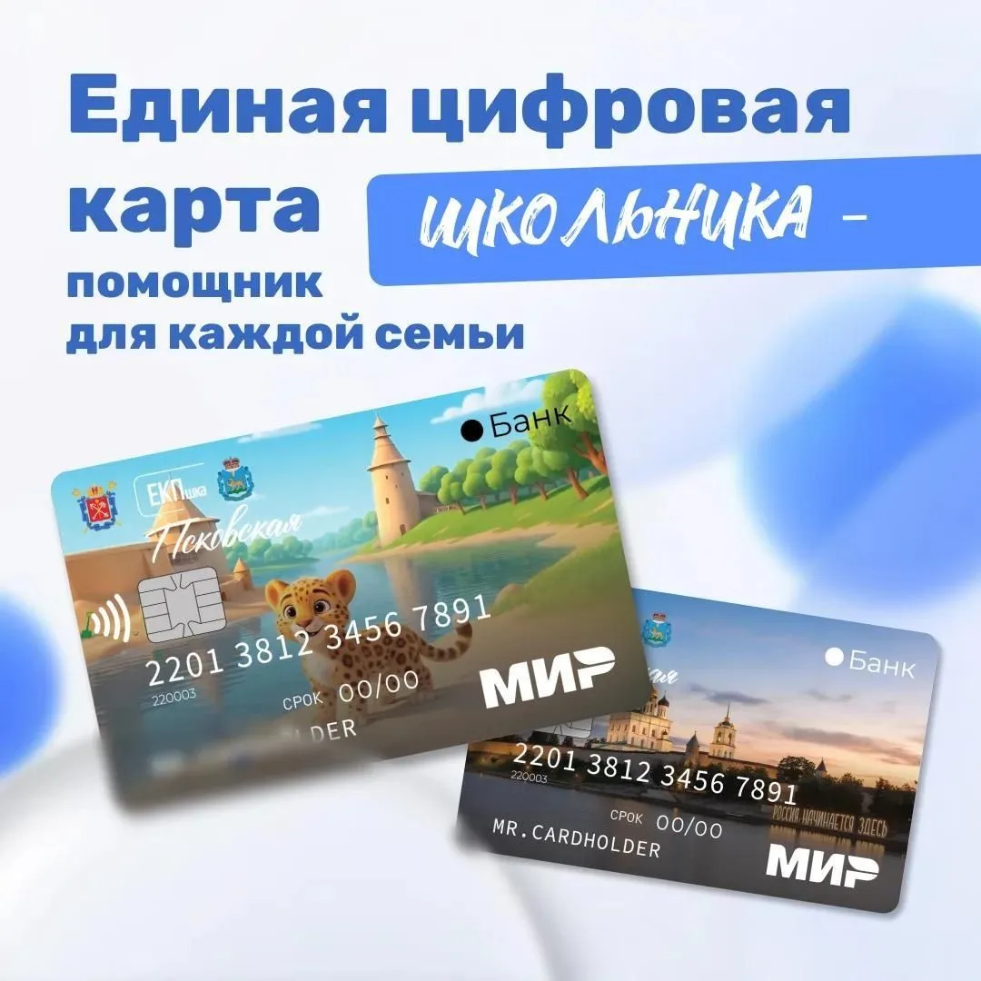 В Псковской области с 1 сентября запускают детскую карту для школьников, включая Велики...