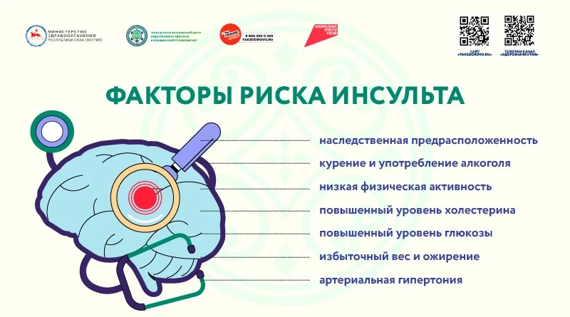 Профилактика инсульта

Инсульт — одно из самых опасных заболеваний сердечно-сосудистой системы. Одна