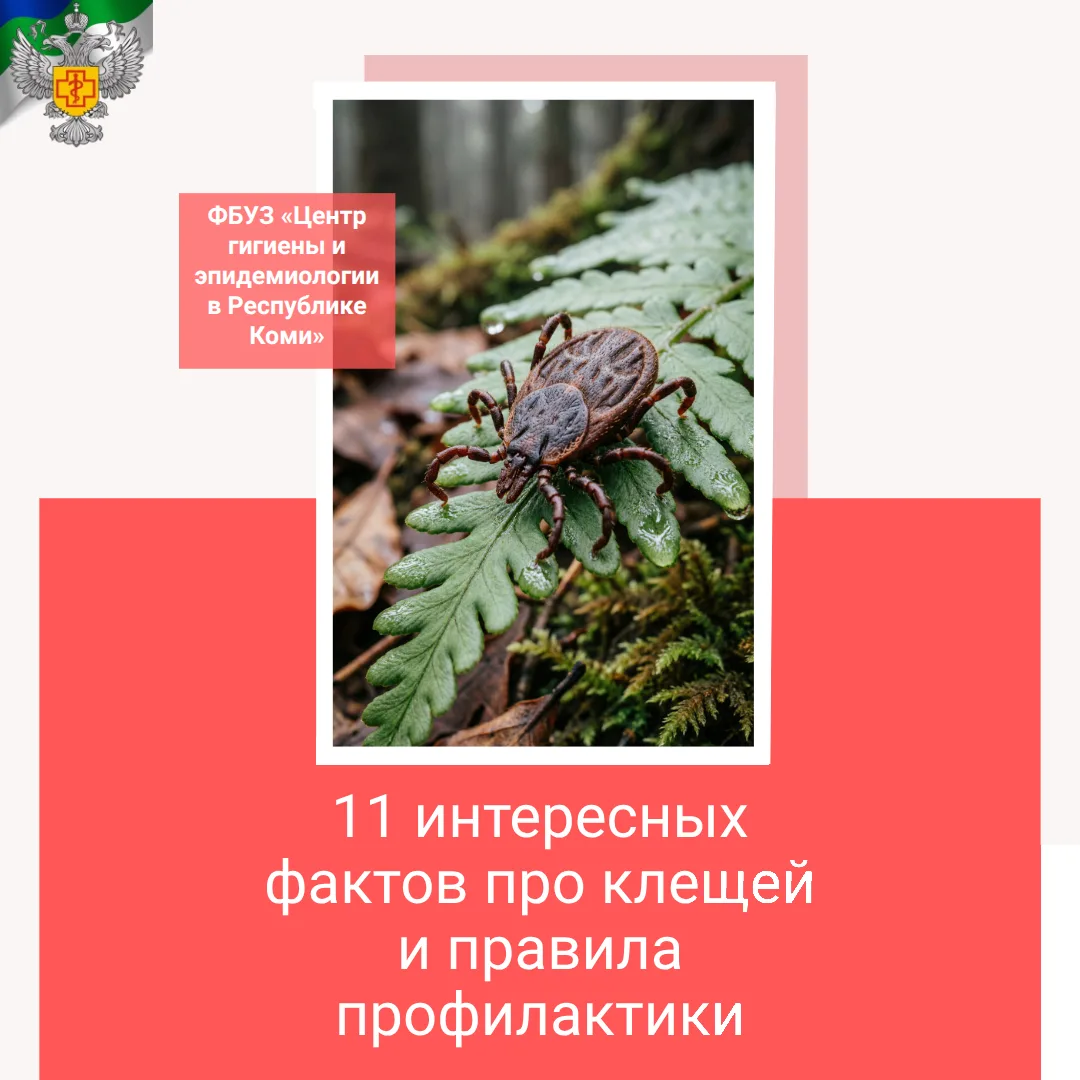11 интересных фактов про клещей и правила профилактики
