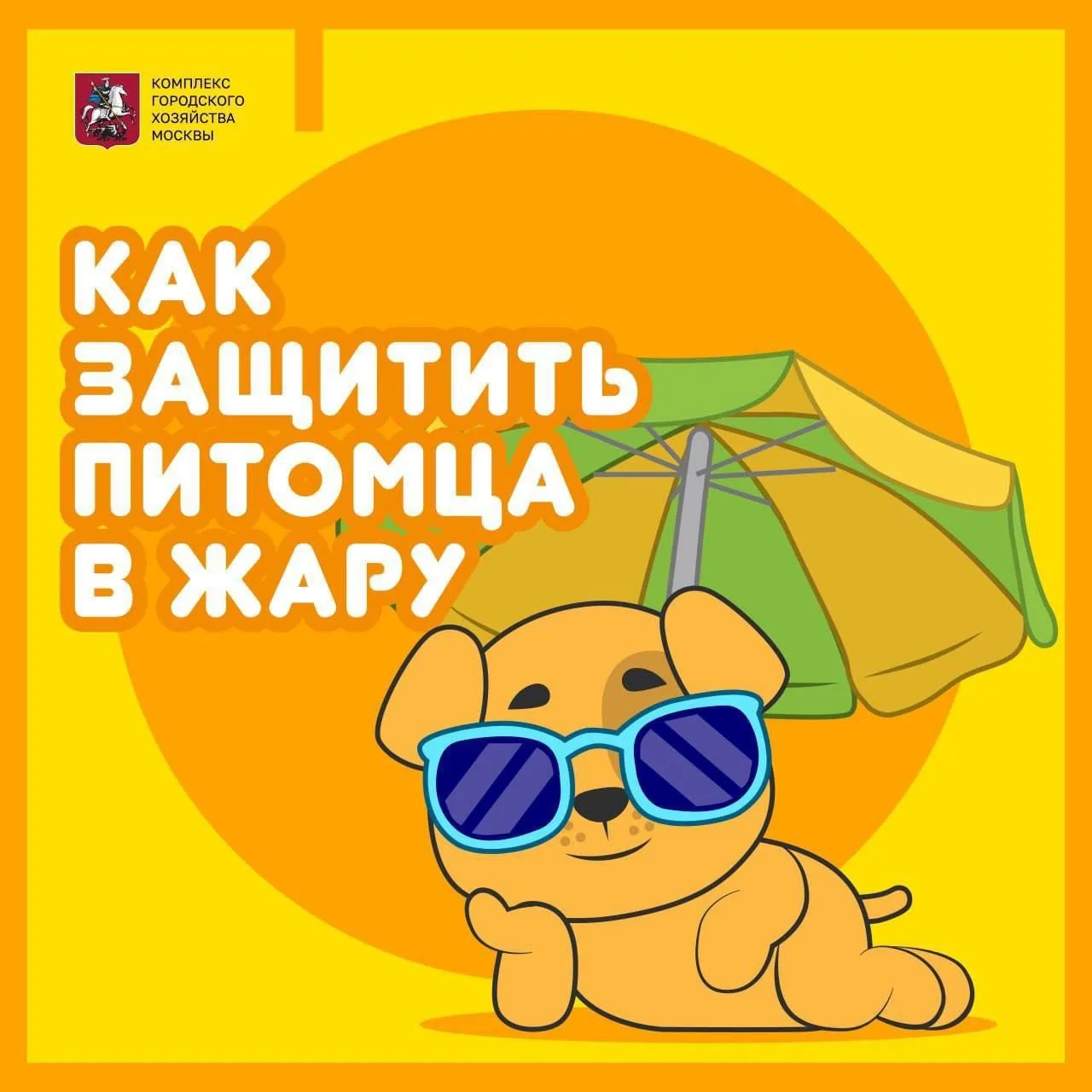 ❤️Как защитить питомца в жару?

💚Советы ветеринаров в карточках от  mos.ru.

Берегите себя и своих 