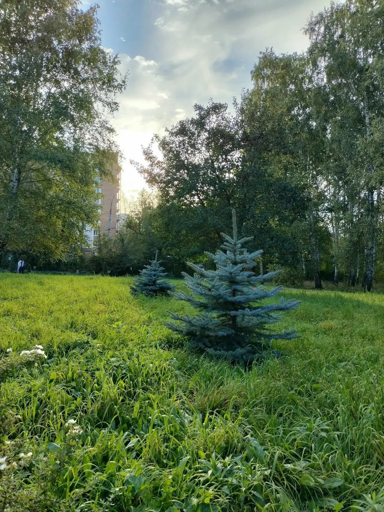 ☀Доброе утро, Куйбышевский! Отдыхайте, набирайтесь сил, хороших всем выходных💕