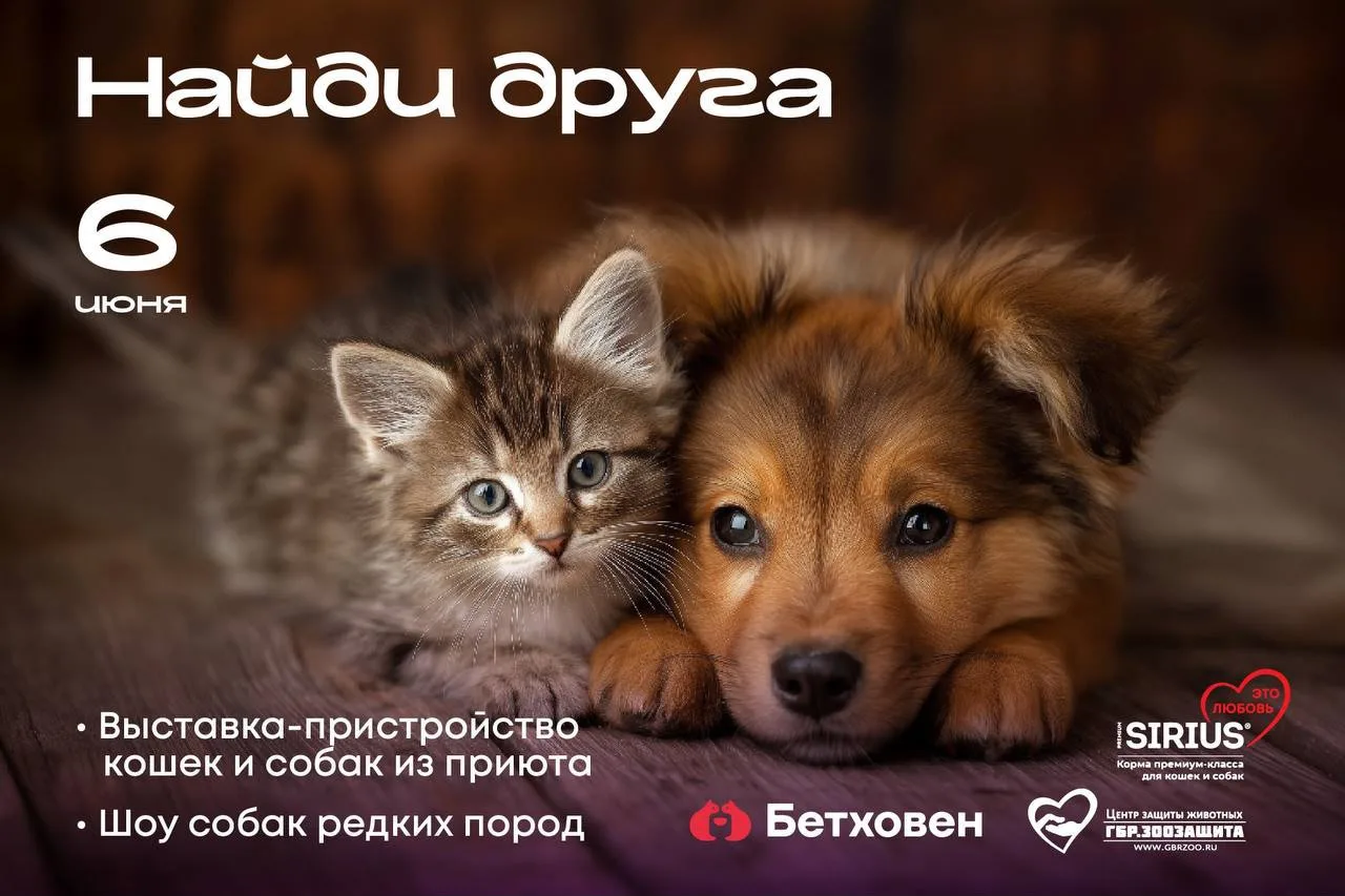 Делаем вместе добрые дела!