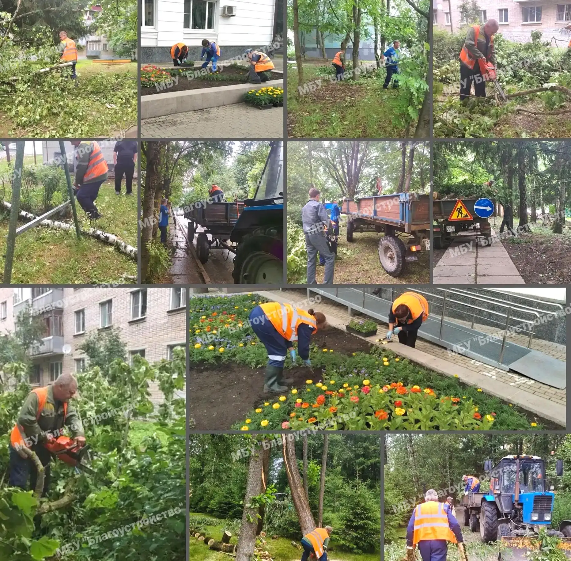 🌿 Сотрудники службы зеленого хозяйства в течении недели выполняют следующие виды работ: 

🔸 уборка