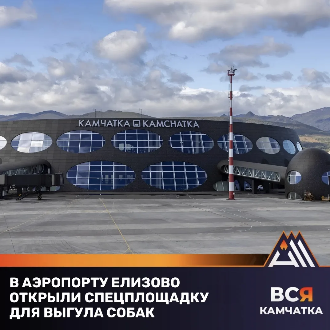Прокуратура подала в суд на аэропорт из-за отсутствия удобств для инвалидов
