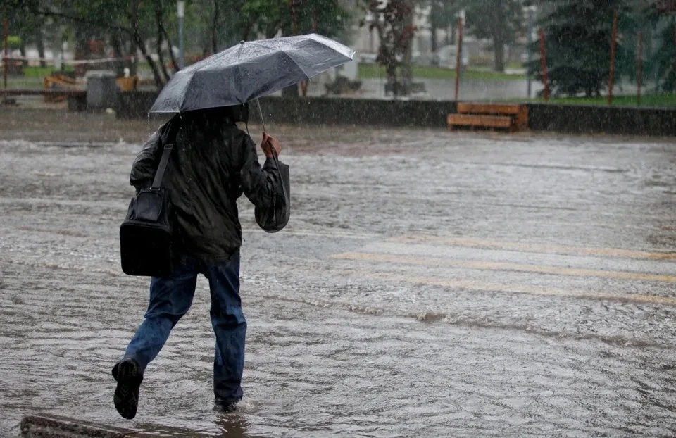 ⛈️ Грозы и ливни ожидаются в Псковской области