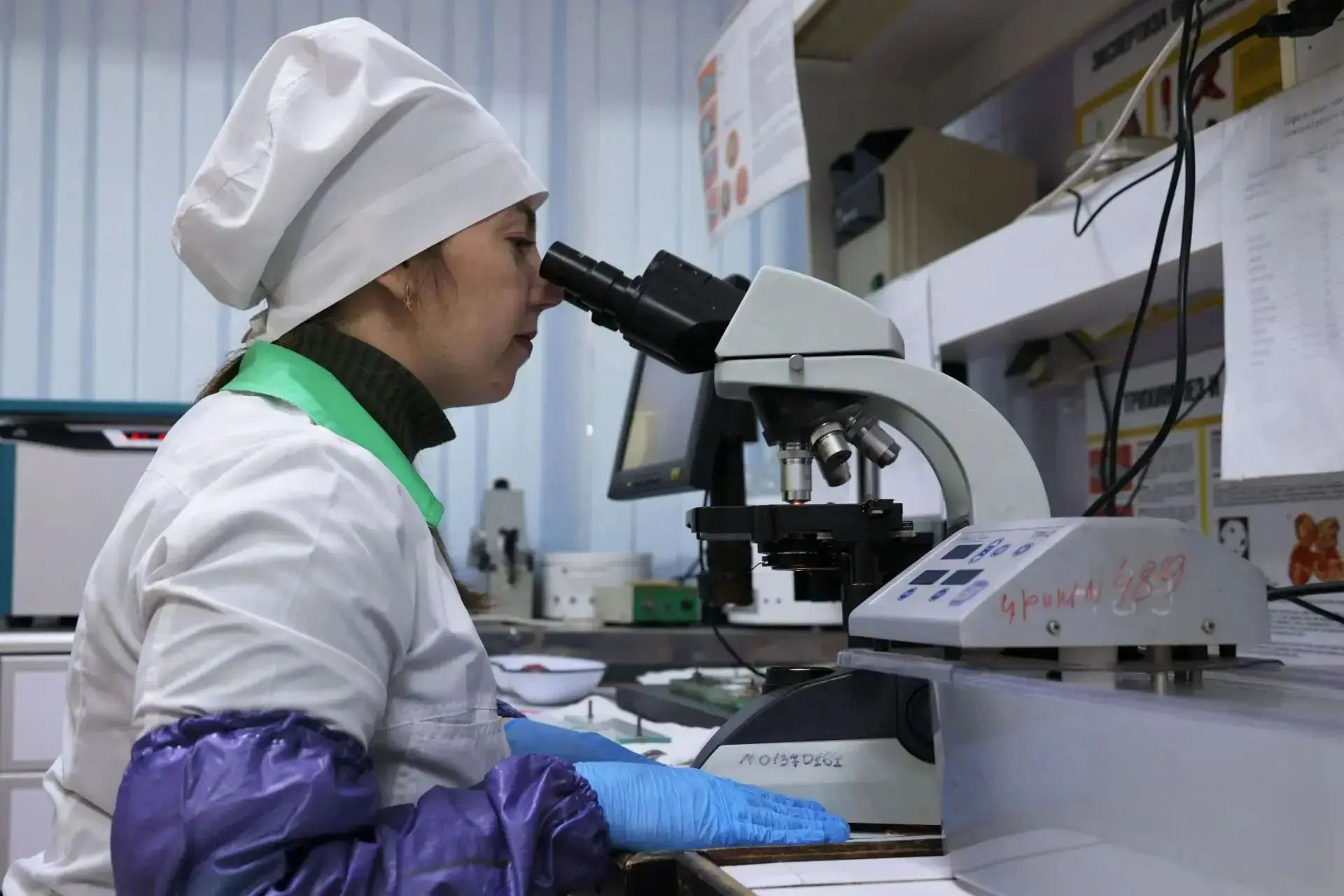 Служба ветеринарии Иркутской области призывает население не приобретать животноводческу...