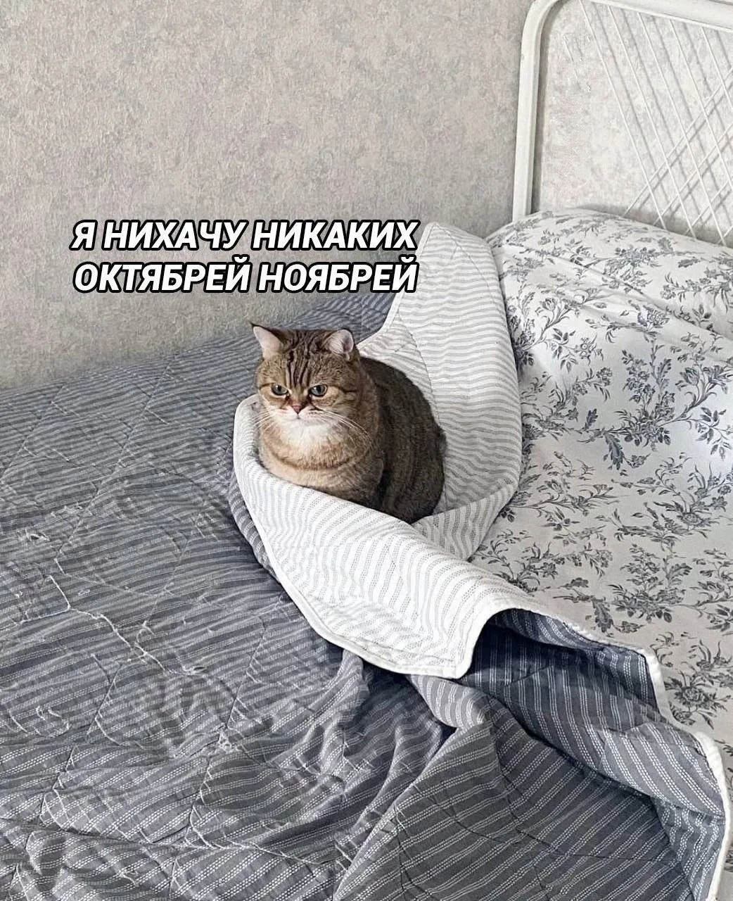 Хочу сразу декабрь и Новый год. К слову, до него осталось 88 дней ❄️