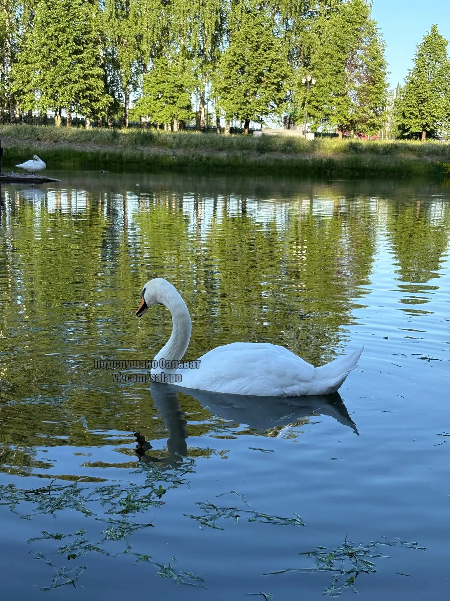 🦢 ❤️ 🦢  Подписаться на Подслушано Салават